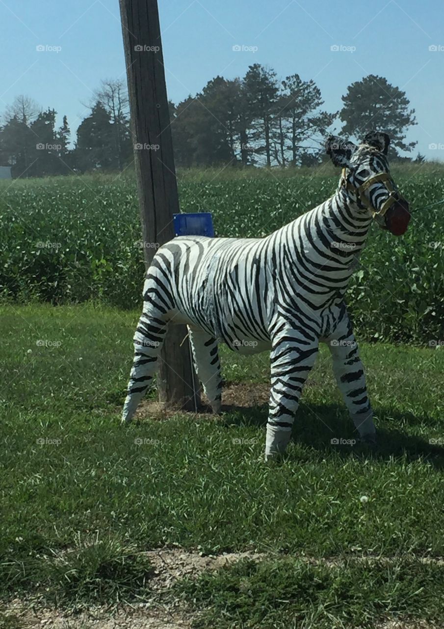 Paper Mâché Sentinel