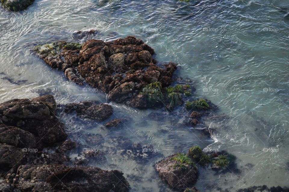 High angle view of rocky beach