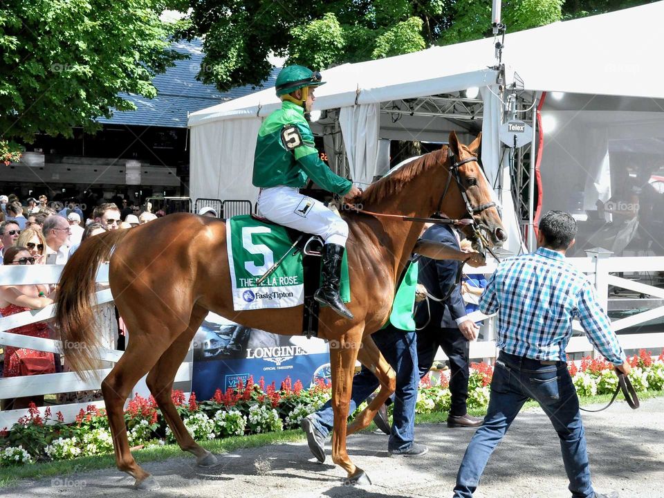Precieuse from Ireland in the De LaRose Stakes at Saratoga