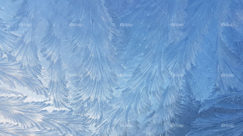 Beautiful frosted ice pattern on the windshield- frost is mönster bil vindruta 