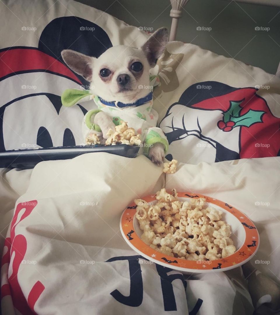 Ohhhhh this is the life’ popcorn and film in bed 