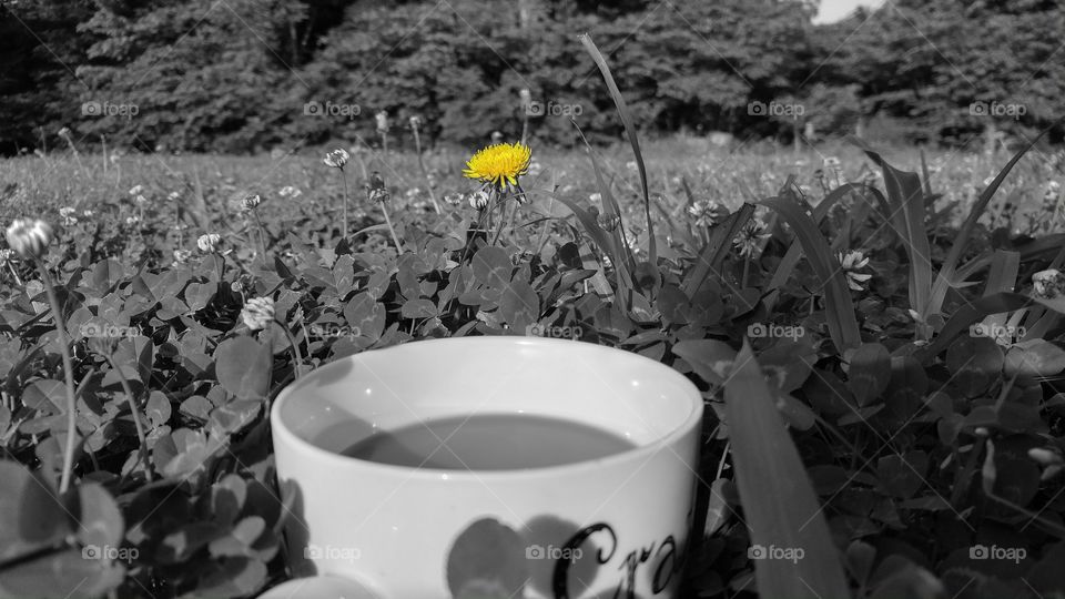 Coffee brings color to the day