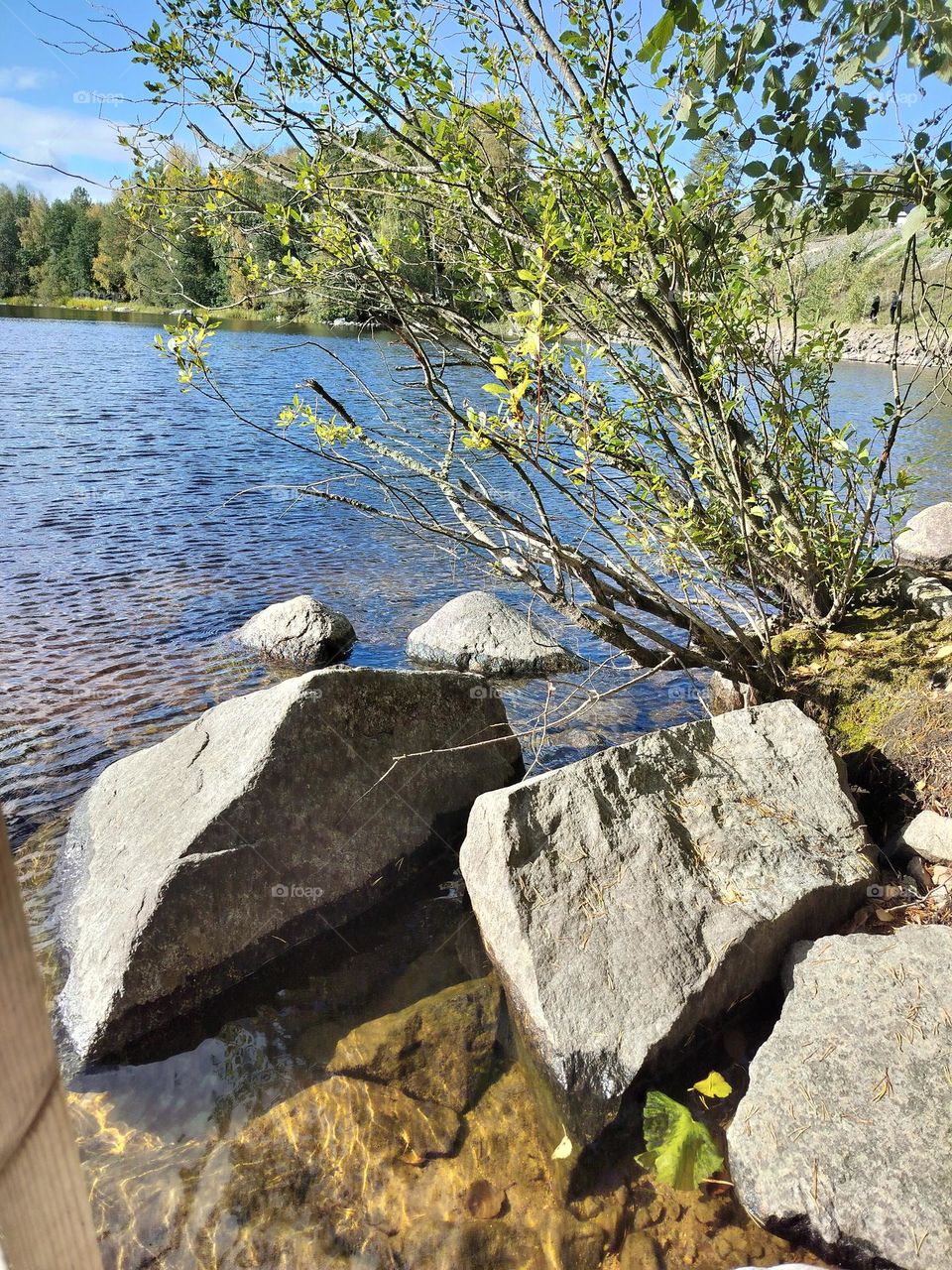 stones in a lake