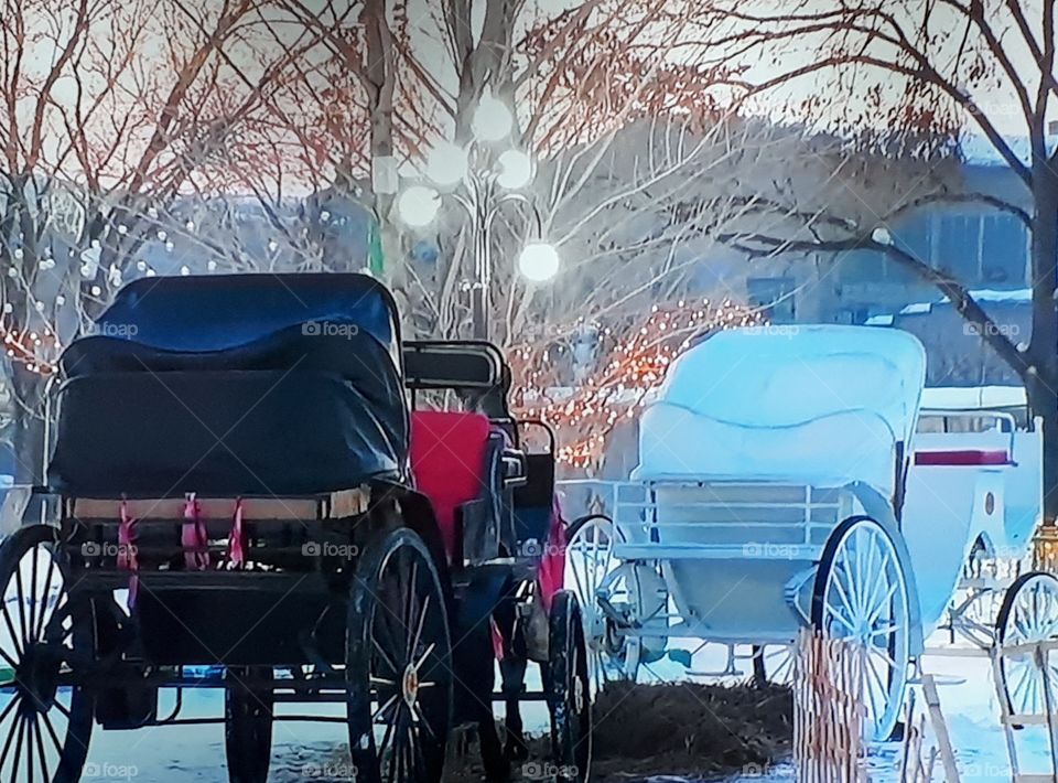 Christmas eve in ,coach in winter park