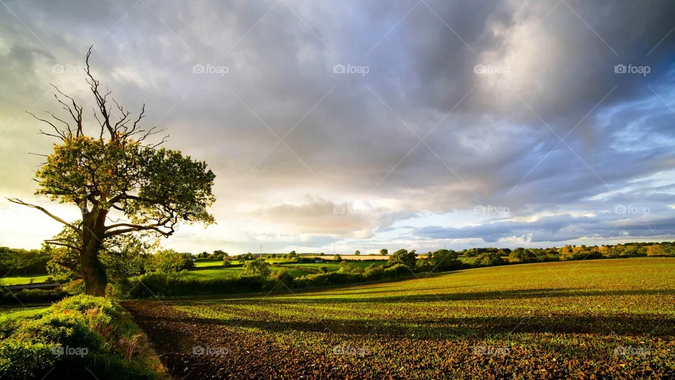 fresh air