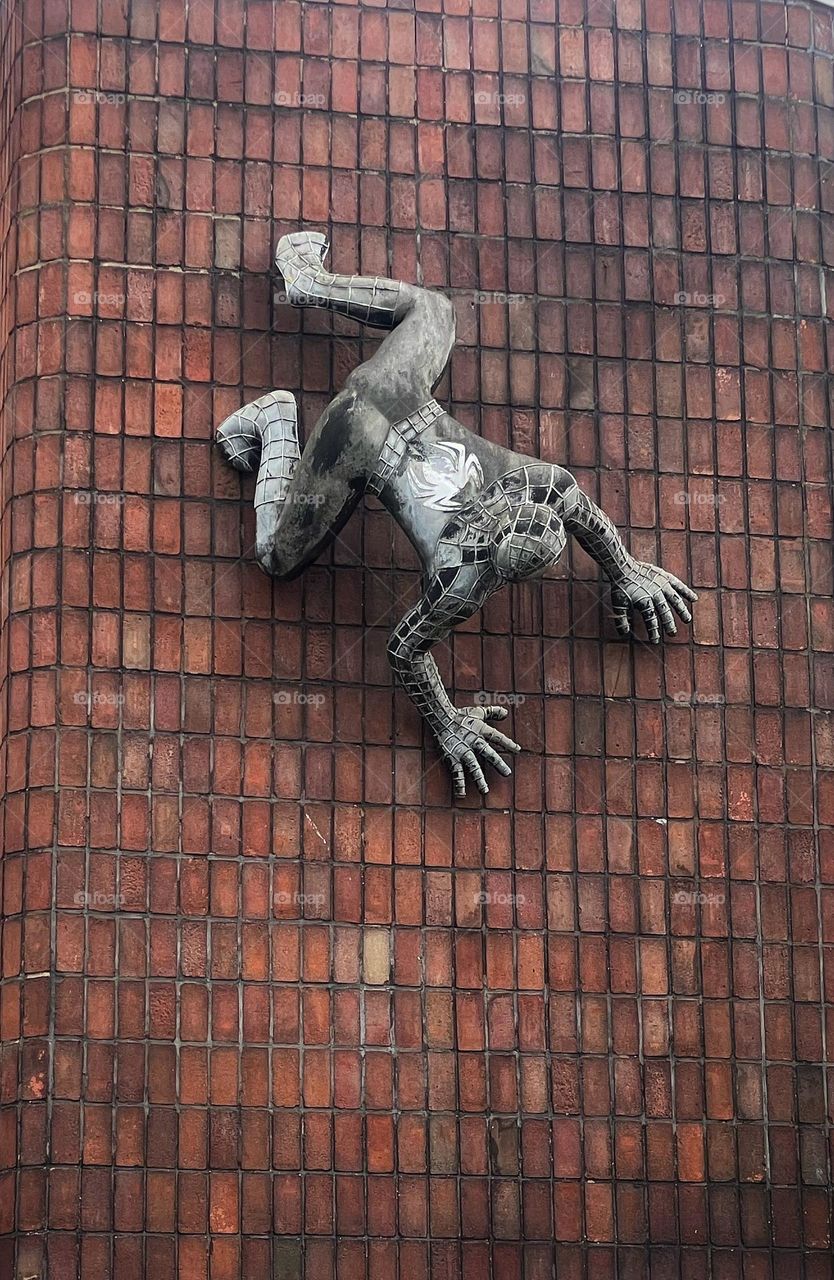 Spiders like to eat flies