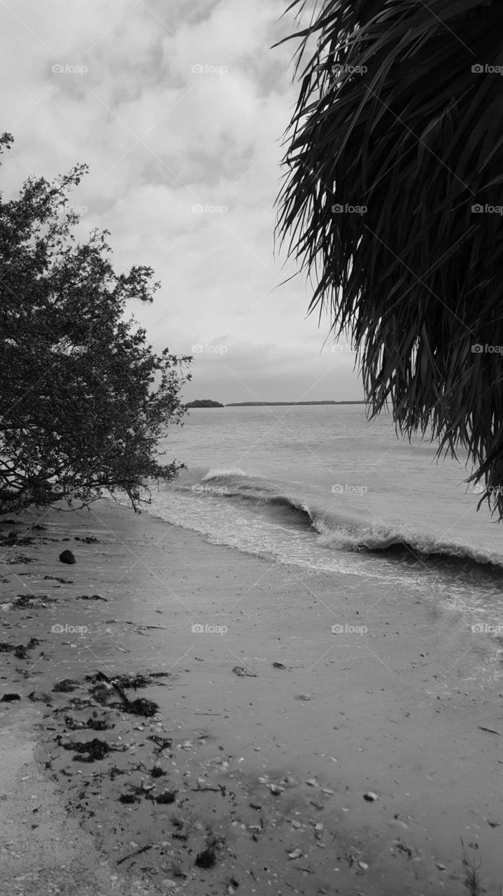 waves on shore grayscale