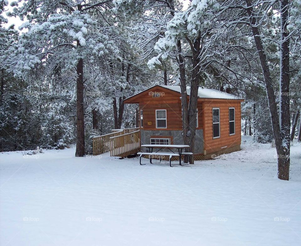 Tiny house / cabin in the woods