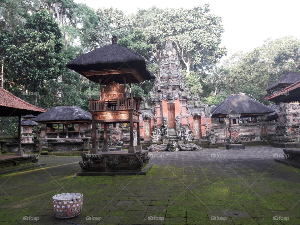 Monkey Temple and Forest, Ubud