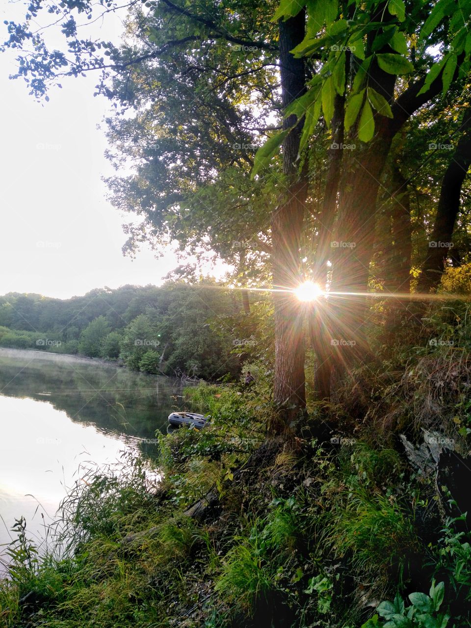 Утренняя рыбалка