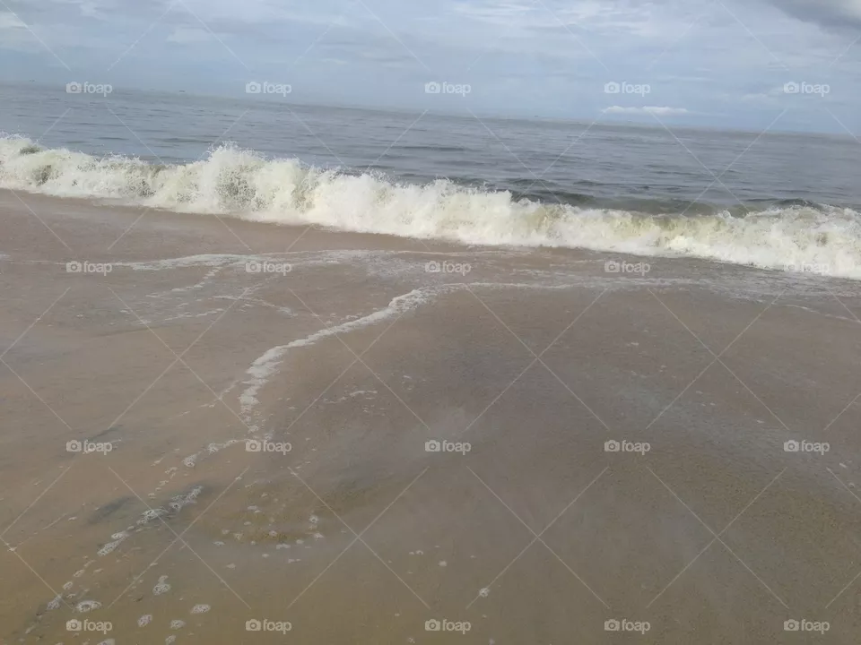 Sea