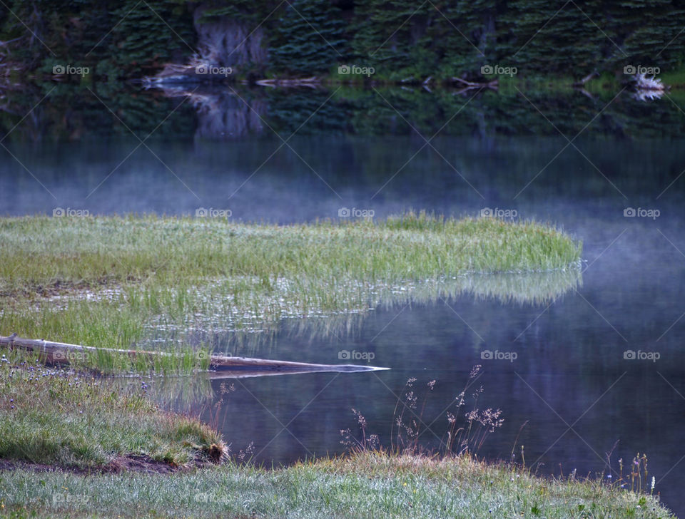 Todd Lake Mist