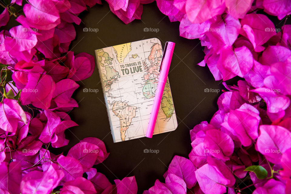The best part of my day is to plan a holiday  (the planning is often more exciting and relaxing than the holiday!) Image of travel notebook pink pen and pink flowers. Flat lay on black background