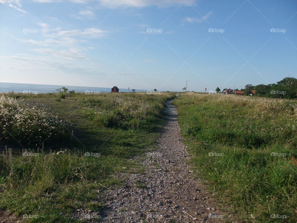 Hiking trails