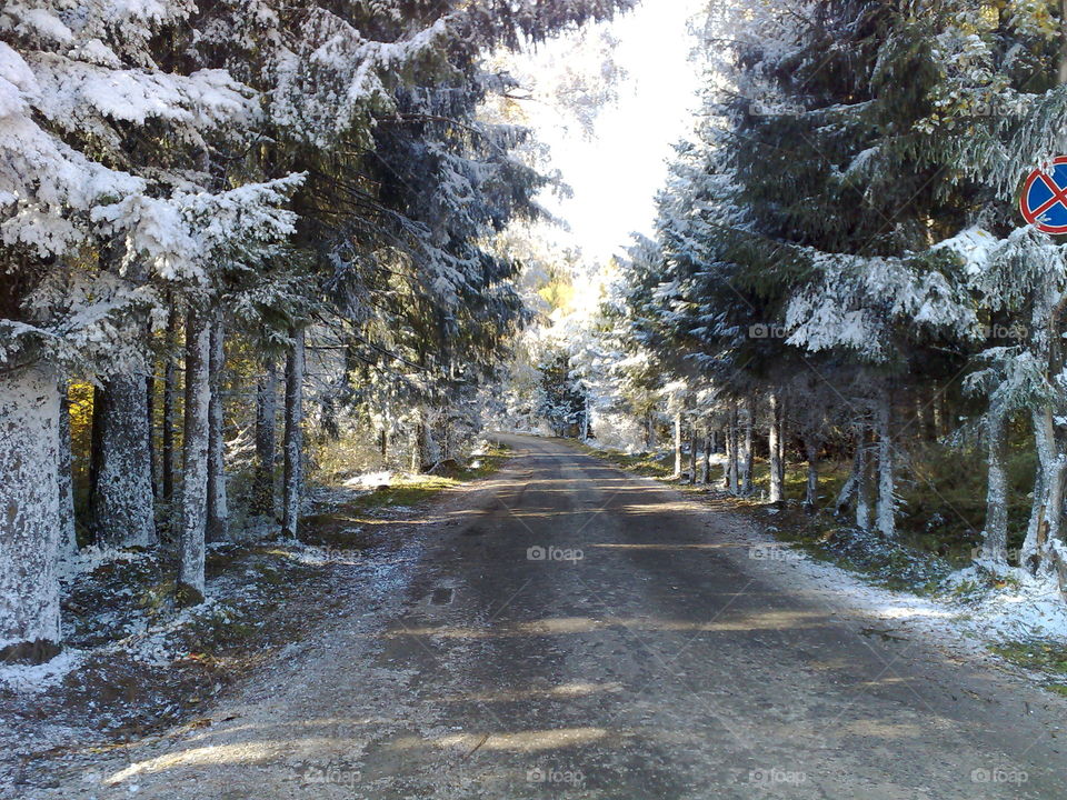 Scenic view of empty road in winter