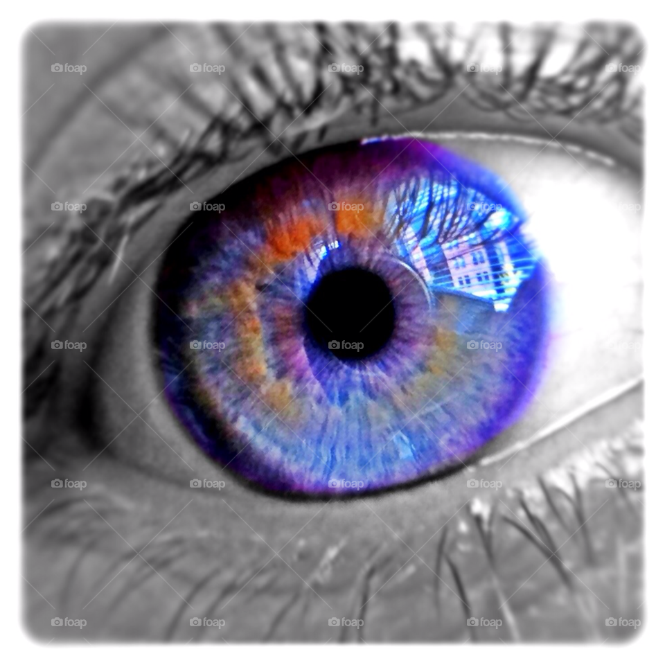 macro eye iris retina by dantvusa