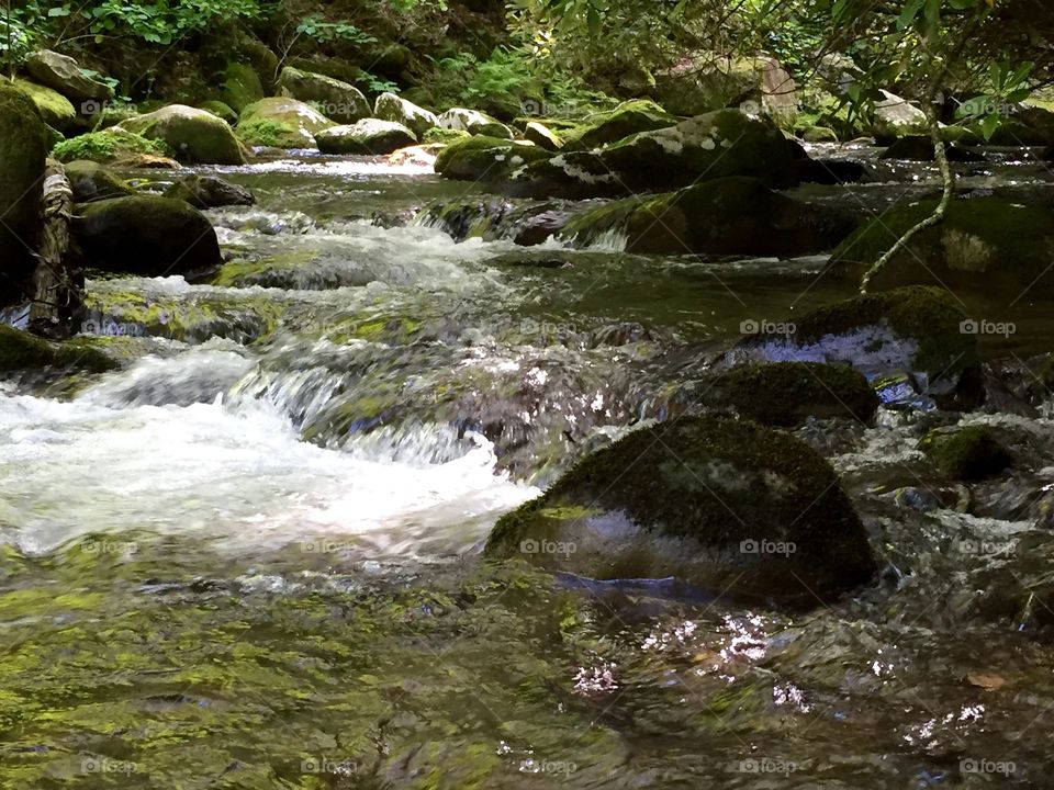 Water, Stream, River, Waterfall, Moss