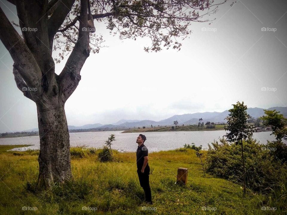 a man Talk to the Tree he asks what's happened in the world now? #pandemiccovid