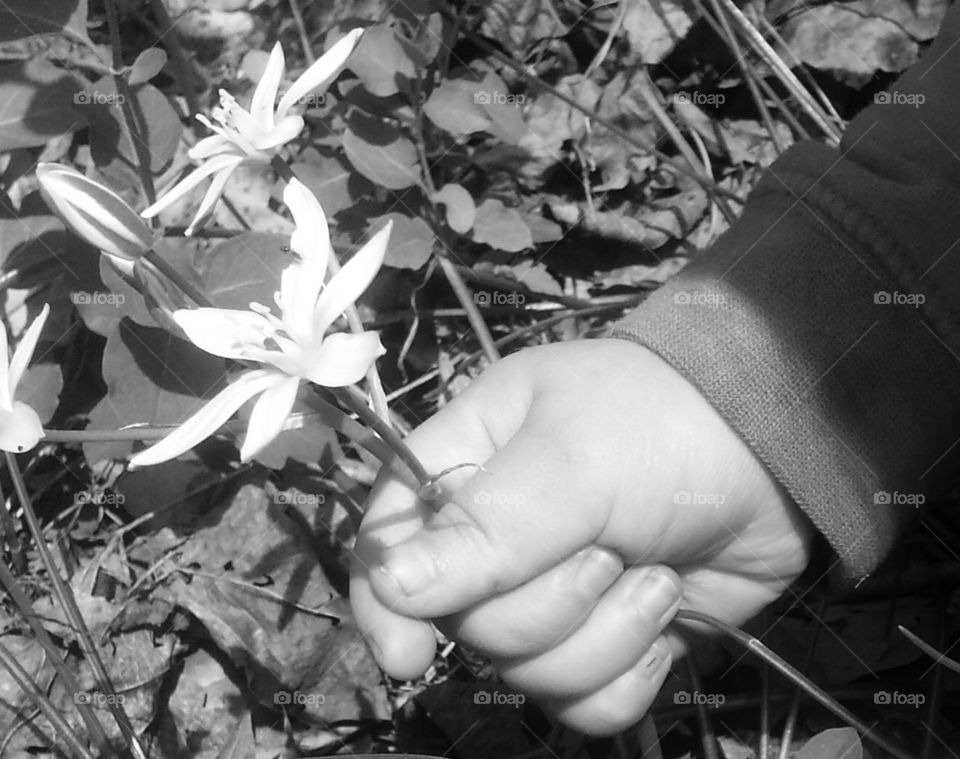 Girl holds flower black and white