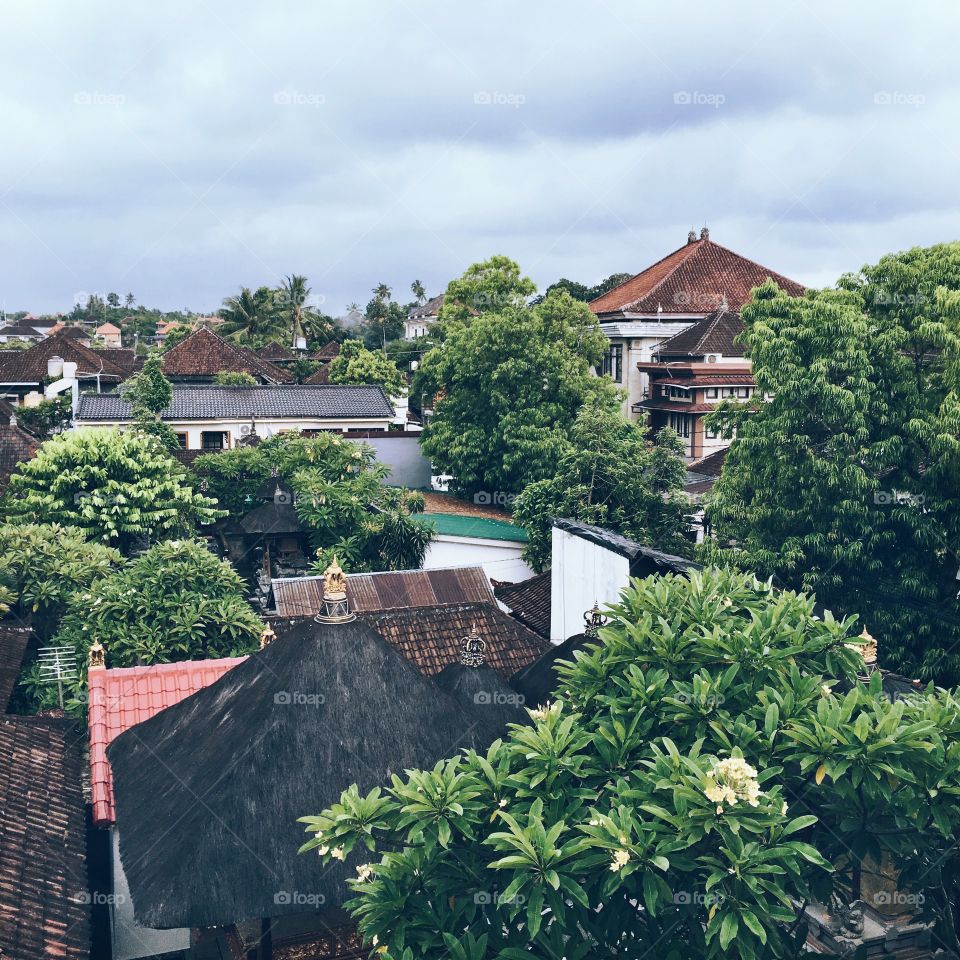 Ubud Bali view from roof