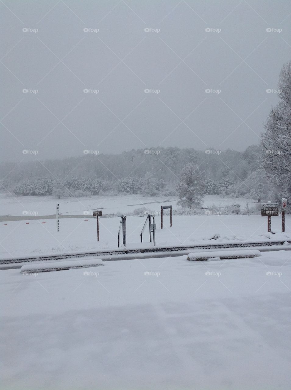 Winter Scenery at the Lake