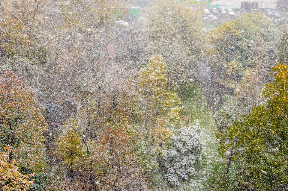 fall autumn trees and heavy snowfall