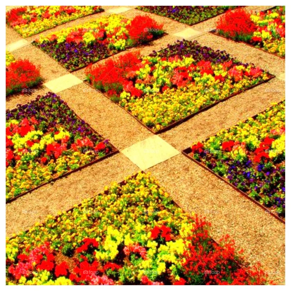 Patchwork Garden