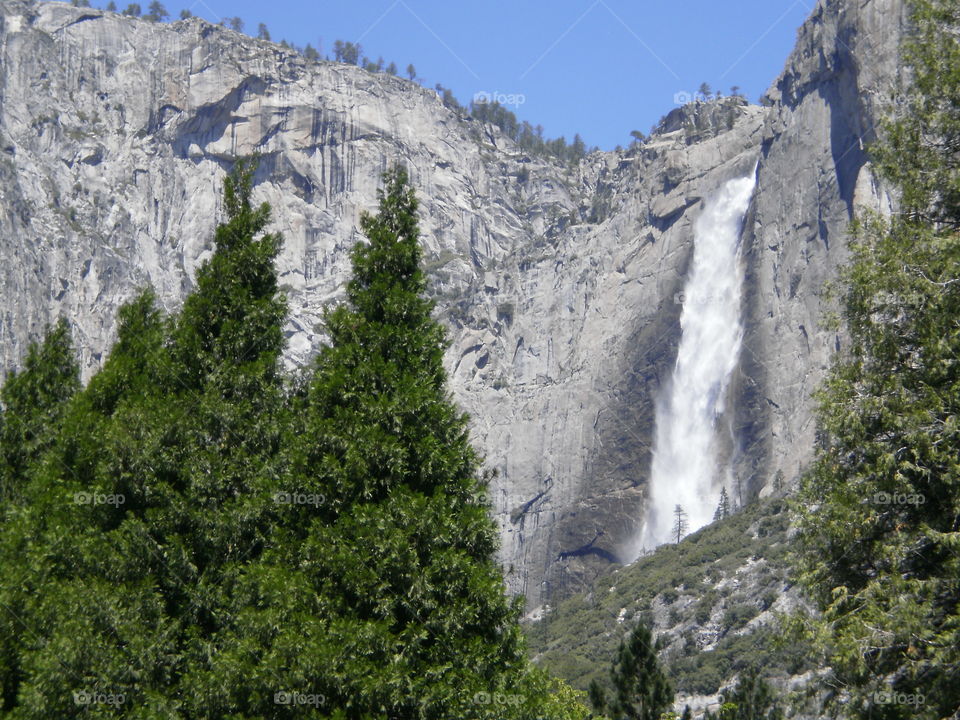 Yosemite when there was Water!. Several years ago summer at Yosemite