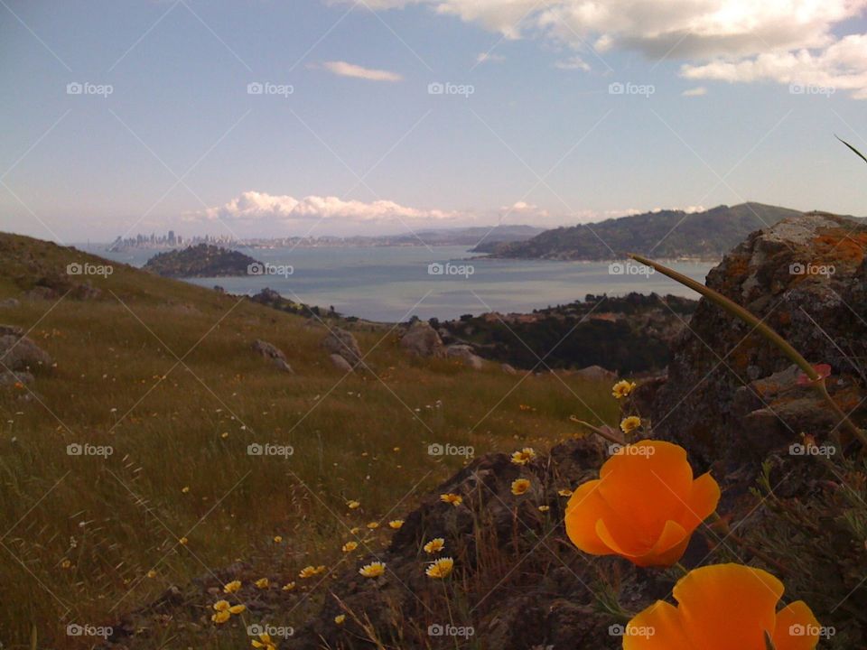 Marin view. San Fransisco bay