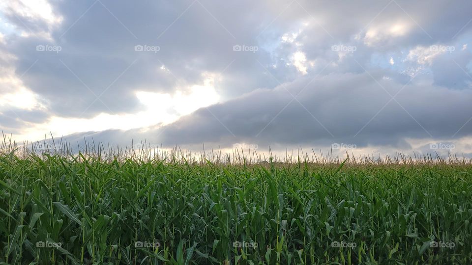 The Sky Between Storms