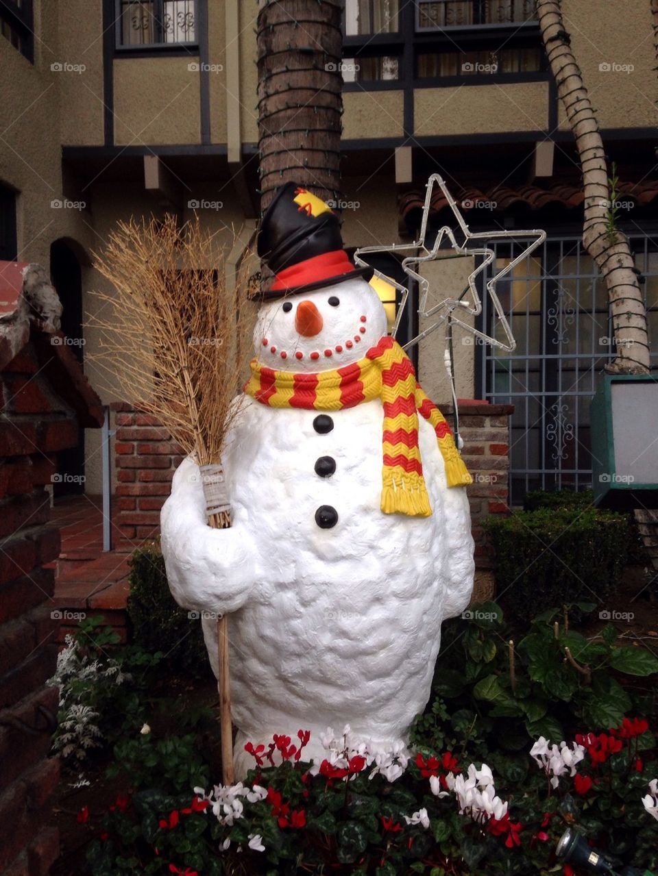 Snow Man in California 