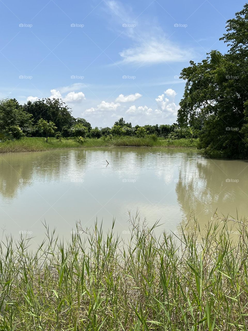 Urban Nature : Water.