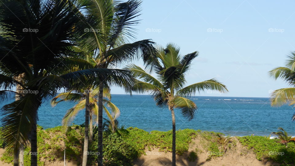The beautiful island of Puerto Rico, specially the San Juan and Río Grande environment and ocean views.