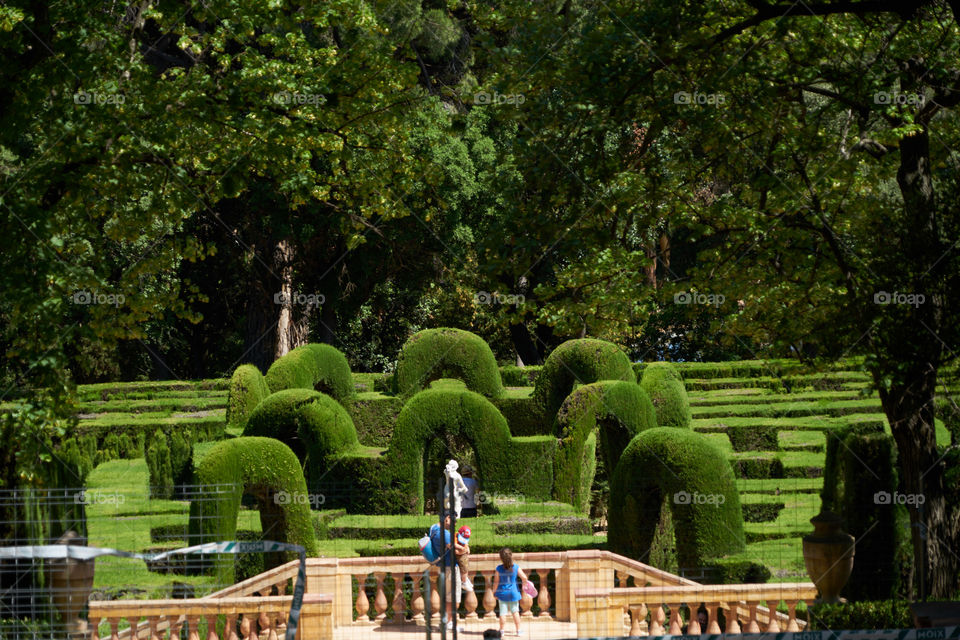 Laberinto de Horta