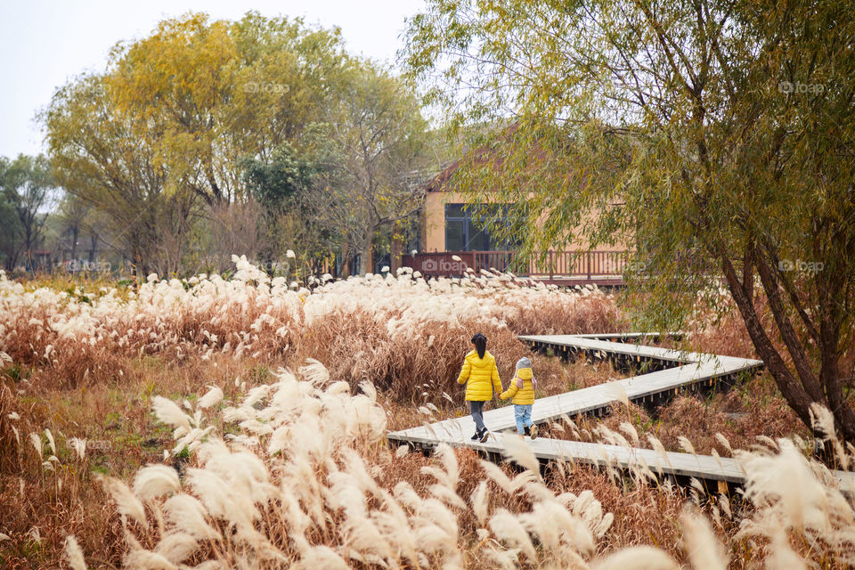 Two girls from behind walking outdoor 