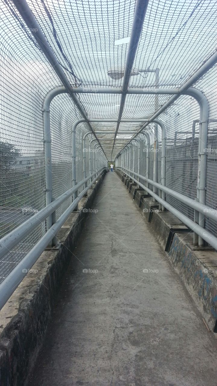 caging bridge