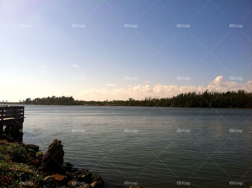 A Water View in South Florida