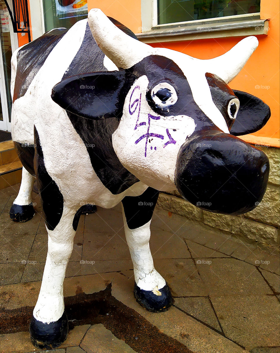 Outdoor decor in the form of a black and white cow