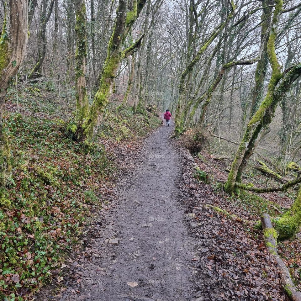 Footpath in the field - Belfort