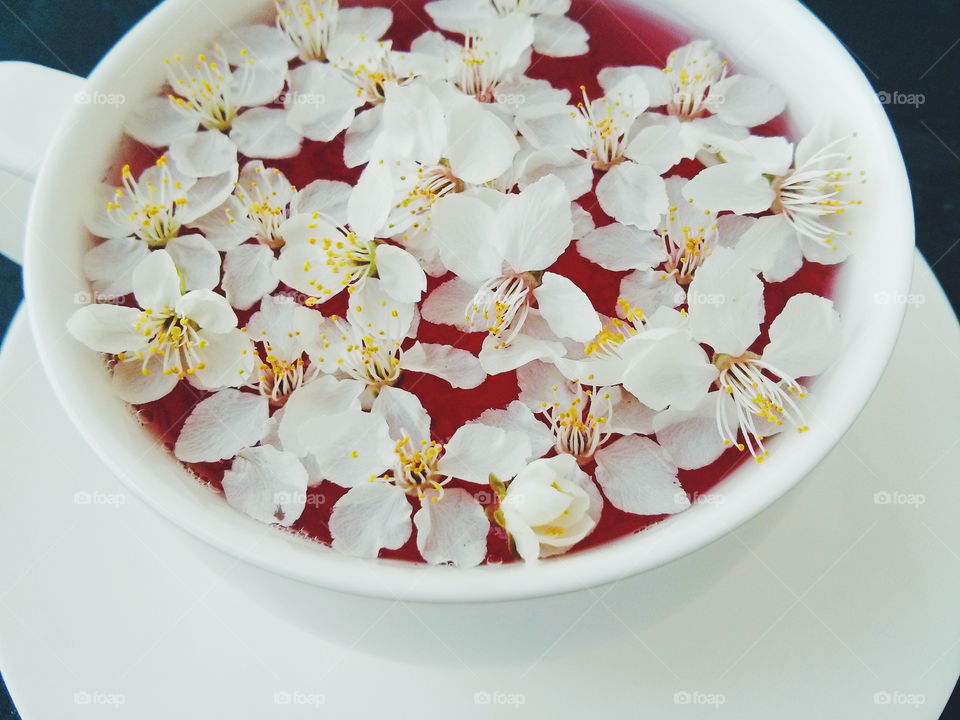 Cherry blossom tea. Cherry blossom tea on dark background