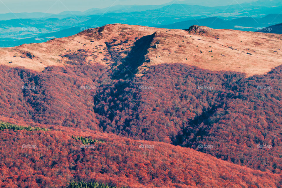 Autumn in The Bieszczady Mountains in Poland. Hillsides coloured with yellow, red, brown. Fall scenery, mountain landscape view from distance