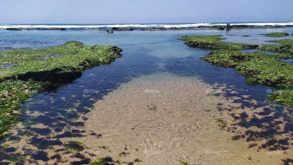 natural swimming pool