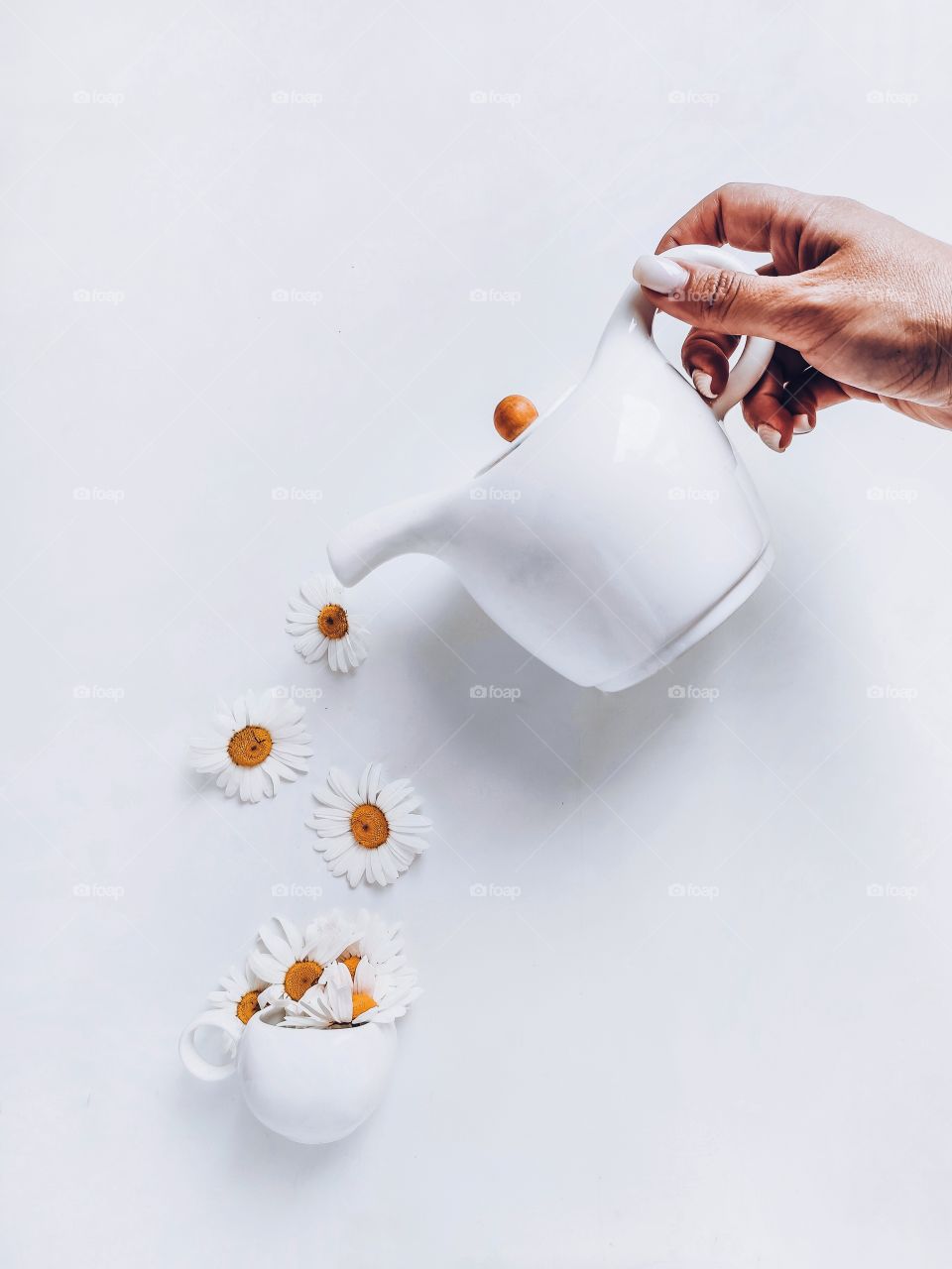 white cup of tea and teapot with chamomile flowers on white background