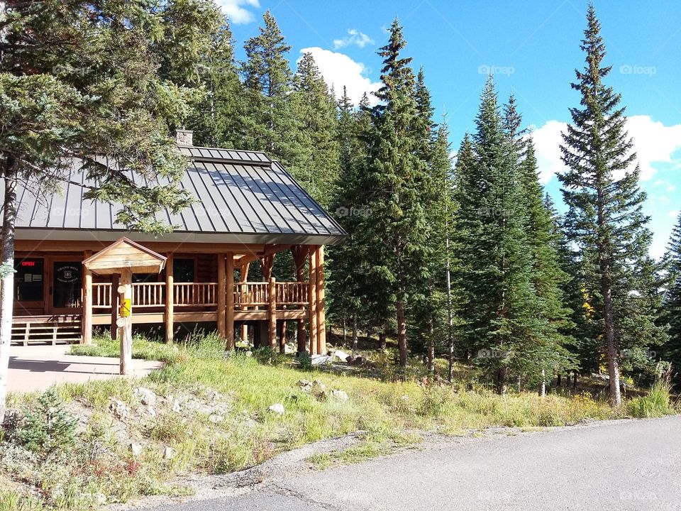 forest overlook on grand mesa