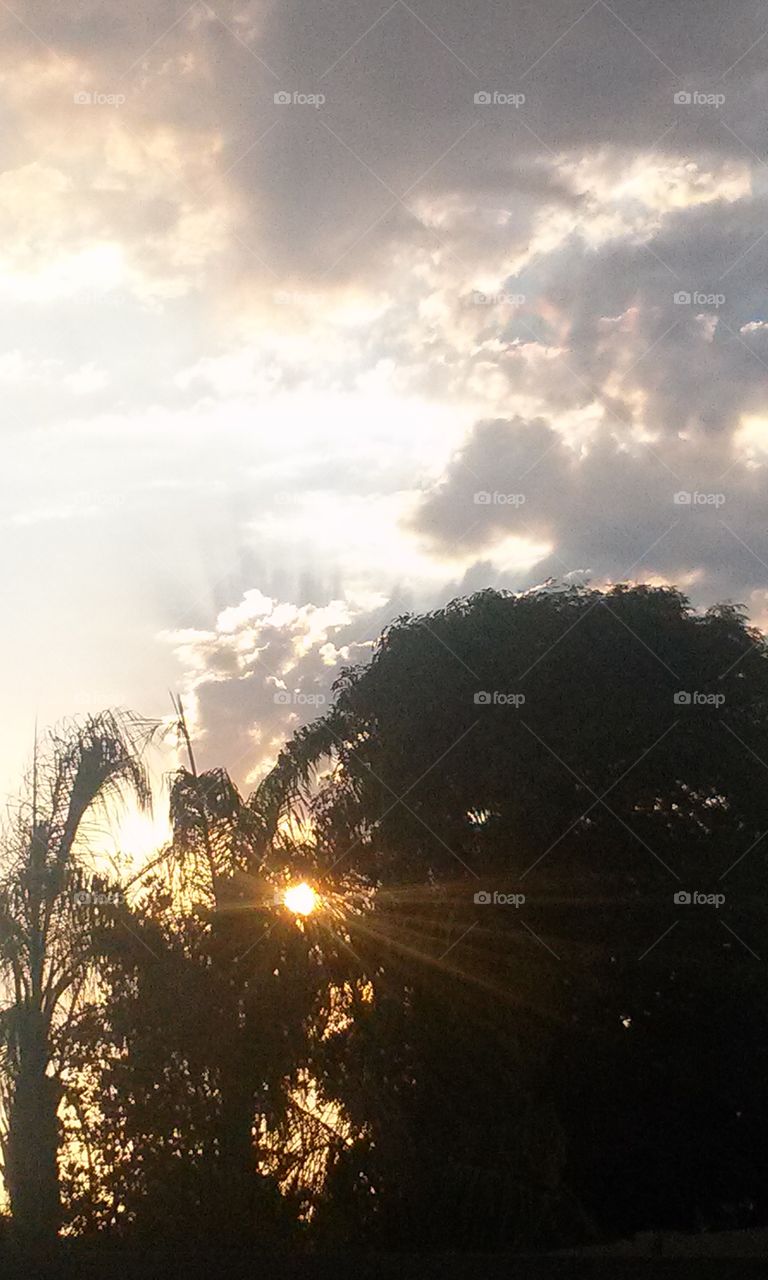 My eyes are seeing Lovely skies.
With trees that are blowing in
the evenings cooler breeze.
What a Blessing for me, to be
able to capture a photo to see.
When i do look at all that my 
eyes behold.  So many places i have been, people i have met,
oh such a story book that can be be told. 
I really cannot think at this moment, what else to say about,  From this photo.   
To this, I ask you to really look
at this picture, and i ask , " Was this to you a Kodak moment?