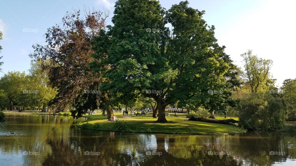 Amsterdam's Vondel Park- Oak trees on the river