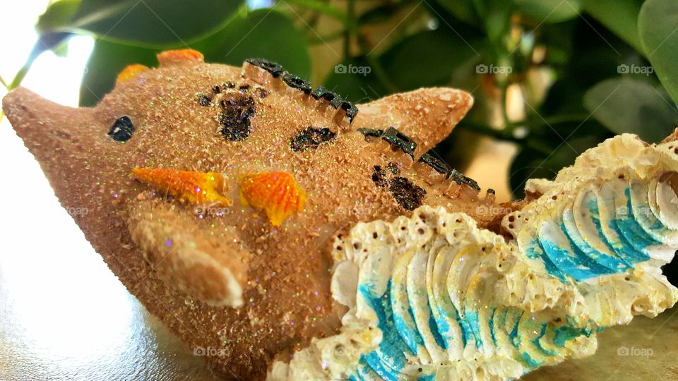 Beautiful Macro shots