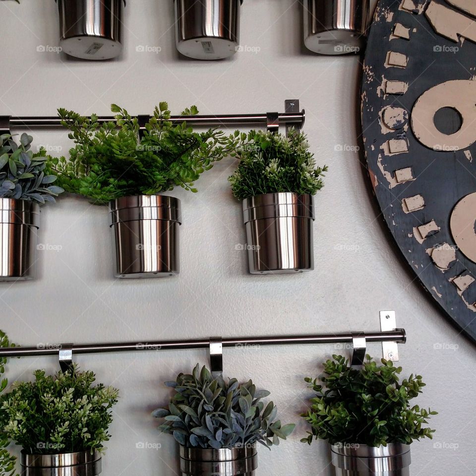 house plants in pots on a wall