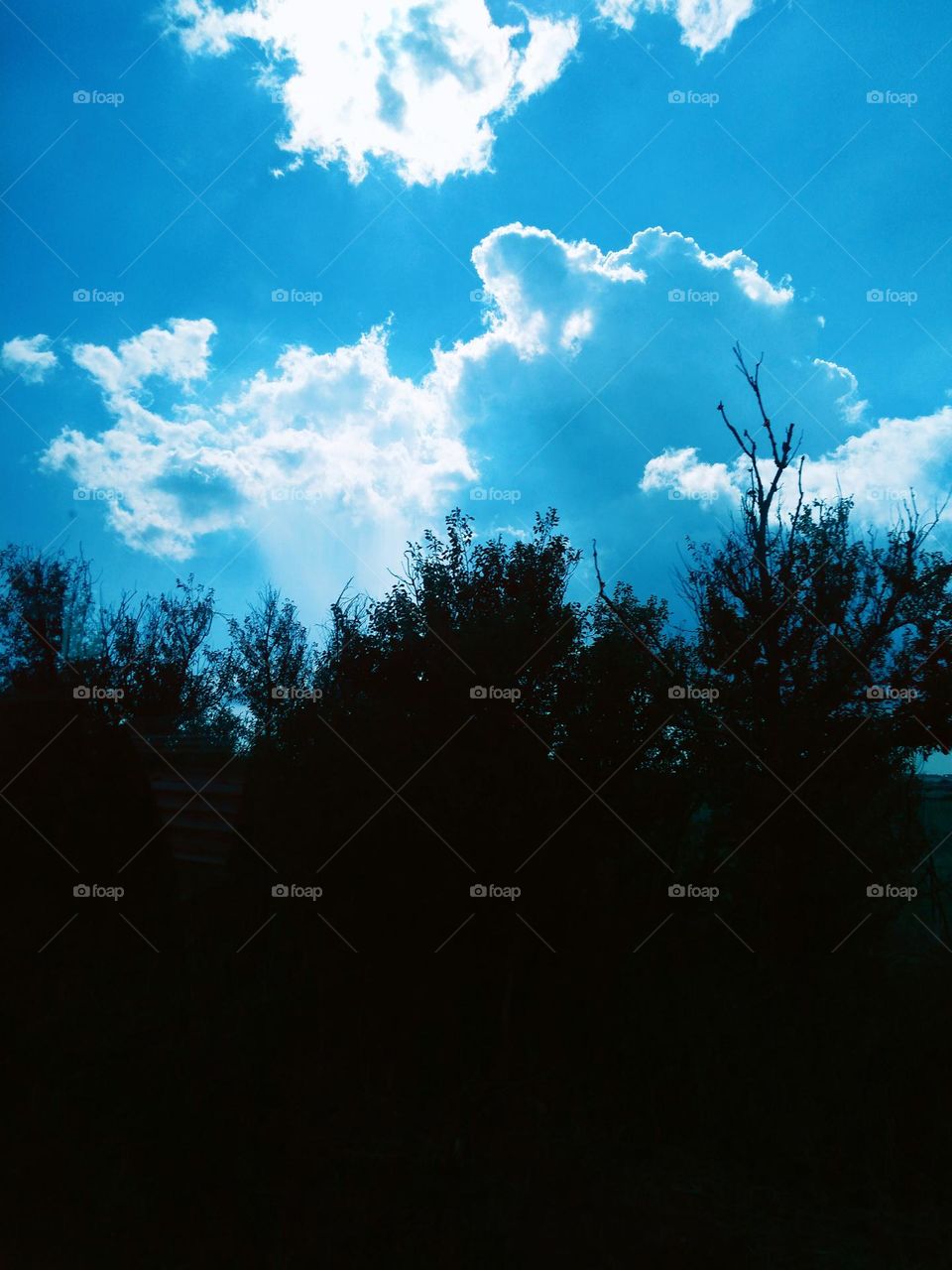 Editors' Choice: Photo of the Week