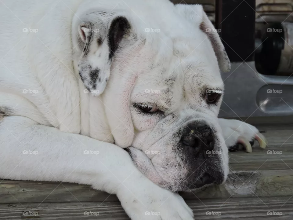 Max